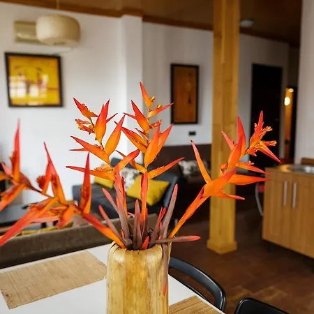 Galeria De Pintores Vivos Apartment *